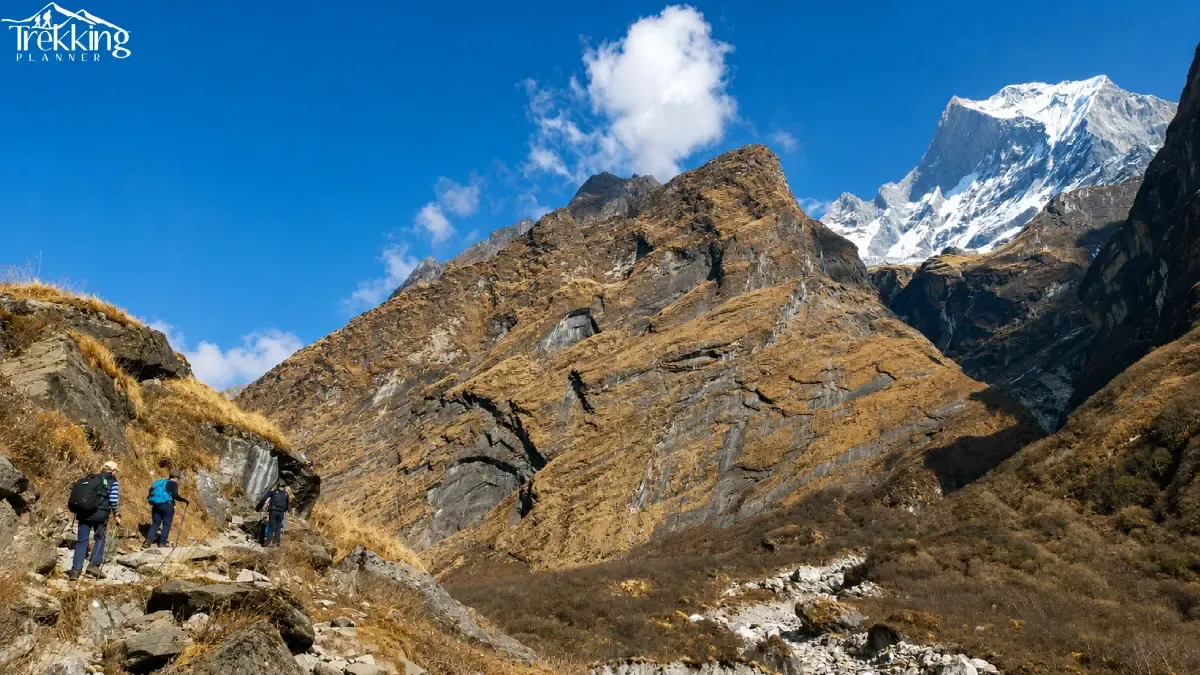 alpine-trail-to-snowy-peaks