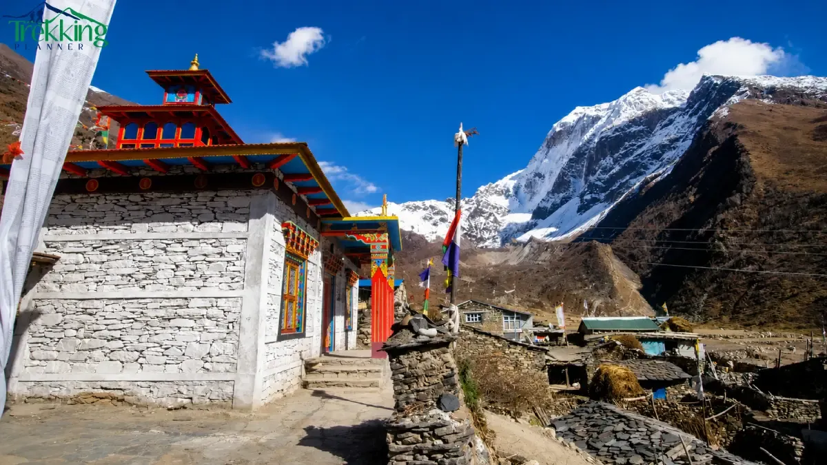colorful-himalayan-temple-village-with-snowy-peaks