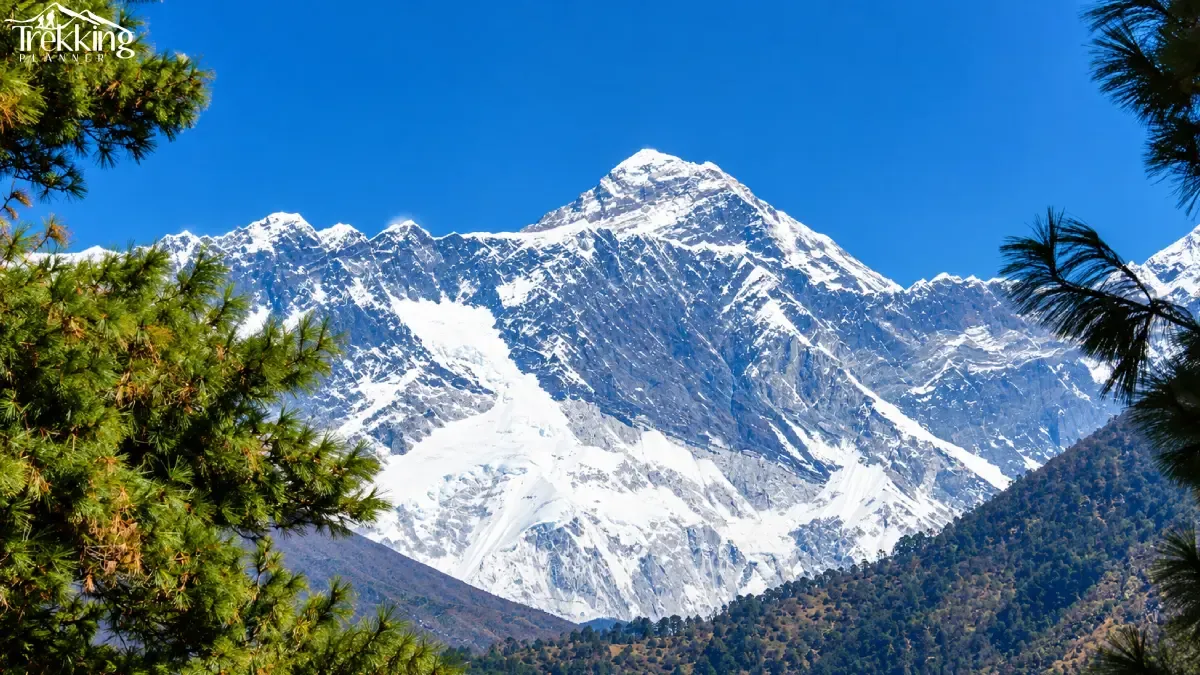 himalayan-peaks-include-mt-everest-framed-by-pines