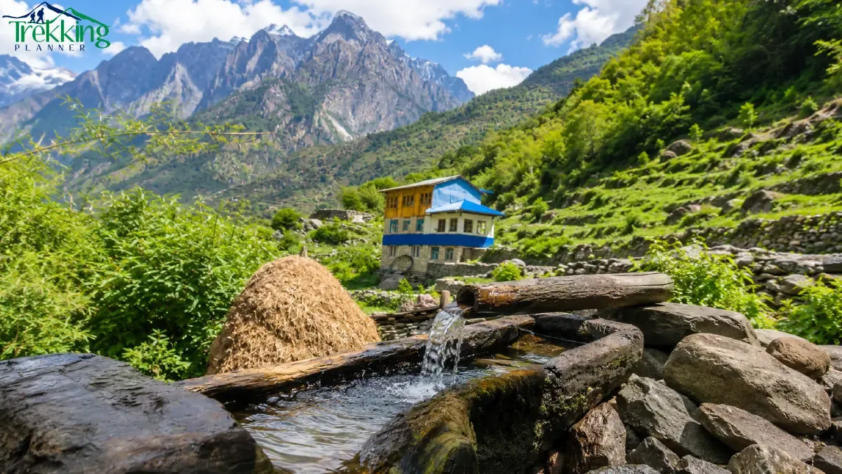mountain-spring-in-a-rustic-valley