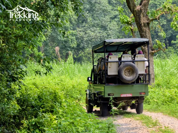 Jeep safari driving through Chitwan National Park forest during wildlife