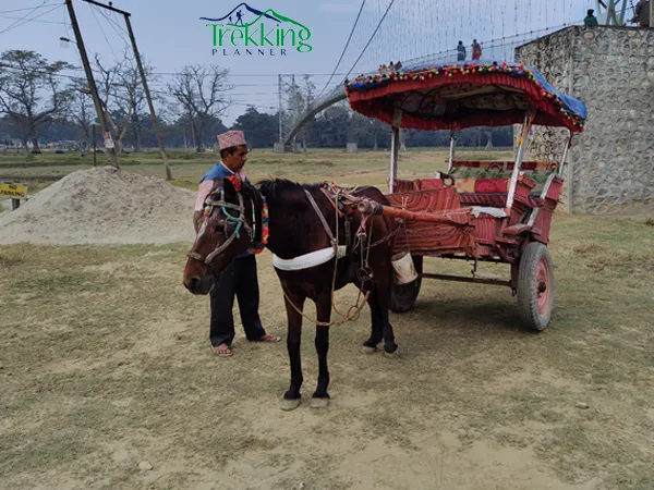 Scenic highlights of Kathmandu Pokhara Chitwan Lumbini holiday package in Nepal