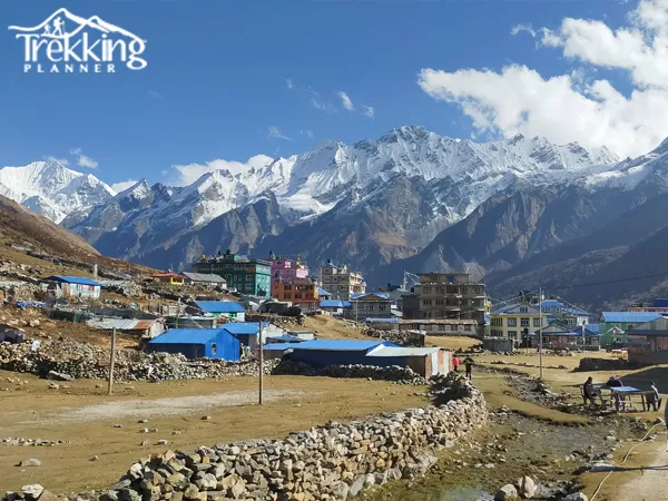 Trekkers walking through the scenic Langtang Valley with snow-capped Himalayan peaks in Nepal