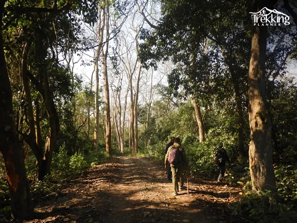Circuit Tours in Nepal with Jungle Safari