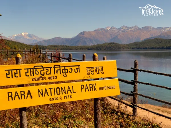 Trekker enjoying panoramic views during the Rara Lake and Khaptad National Park Trek in western Nepal.