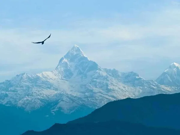 Trekkers walking along the Royal Trek with Annapurna and Machhapuchhre mountain views