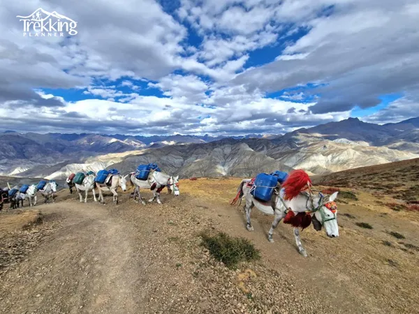 Traditional stone village and local culture encountered during Upper Dolpo Trekking in Nepal